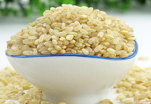 大连发芽糙米的发芽指的是什么